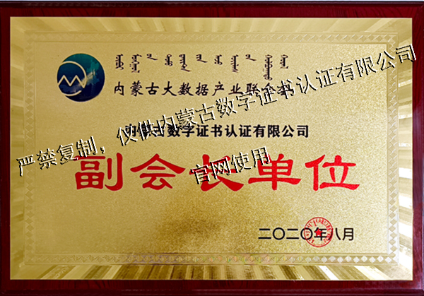 内蒙古大数据企业联合会副会长单位